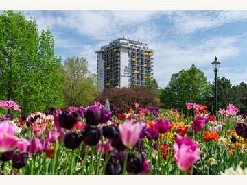 Wohnung in Wien,Favoriten Bild 12