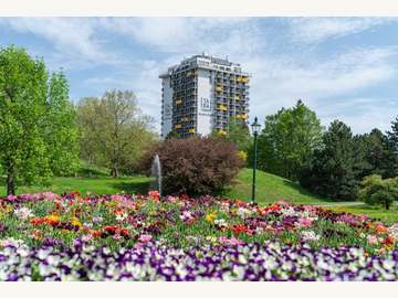 Wohnung in Wien,Favoriten Bild 14