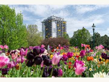 Apartement in Wien,Favoriten Bild 18