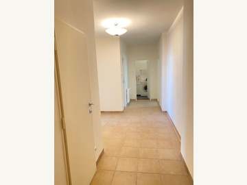 Wohnung in Wien Bild 12