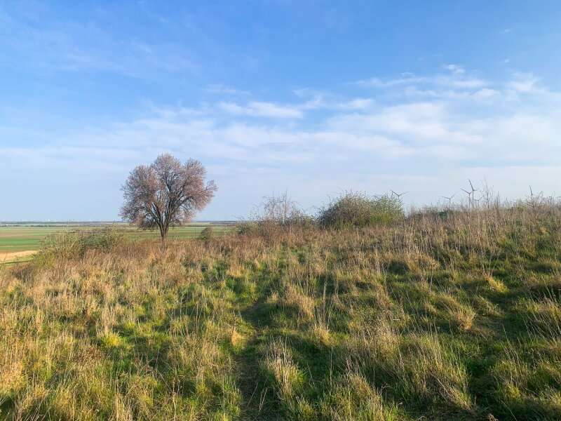 Baugrundstück in Nickelsdorf