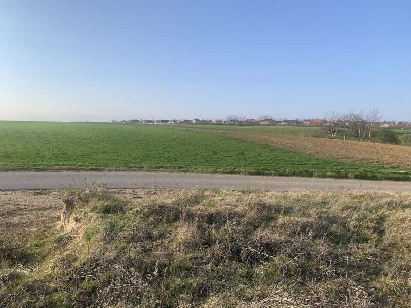 Baugrundstück in Nickelsdorf