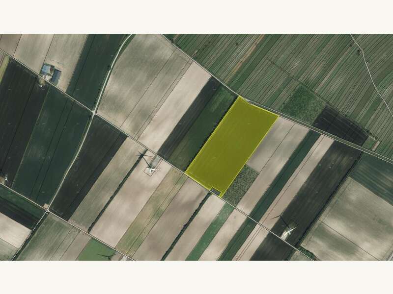 Landwirtschaftsgrund in Höflein