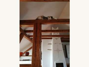 Maisonette in Neunkirchen Bild 15