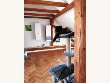 Maisonette in Neunkirchen Bild 16